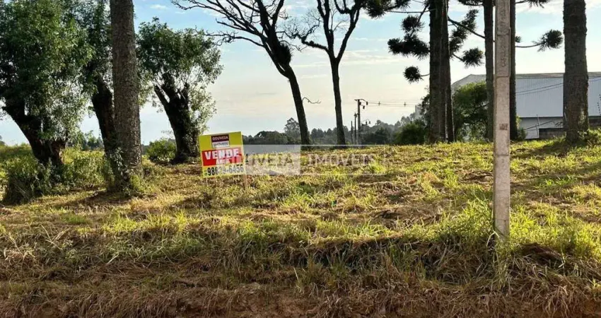 Área com 51.000 m², à venda por R$ 15.000.000 - Aruja, São José dos Pinhais (PR) - ZIS-1