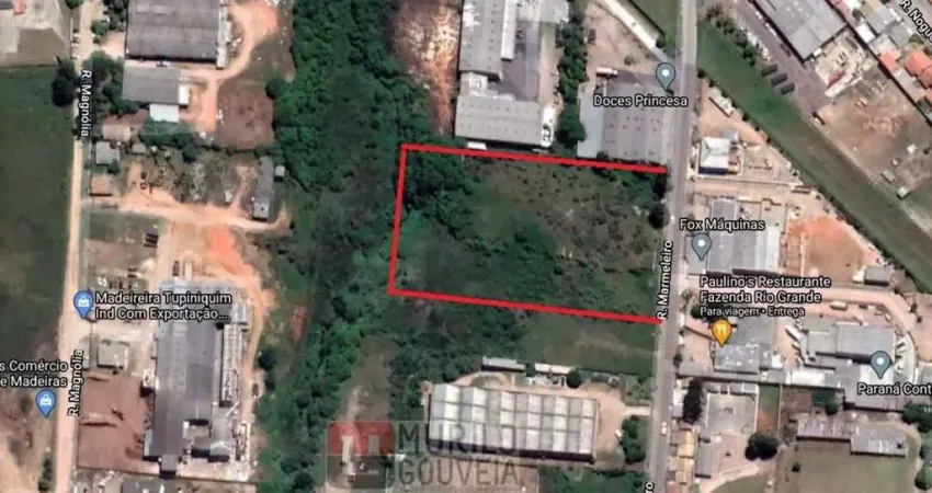 Terreno com 15.000 m², à venda por r$ 11.200.000 - eucaliptos, fazenda rio grande (pr)