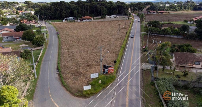 Terreno à venda, 5733 m² por R$ 2.999.000,00 - Fazendinha - Campo Largo/PR