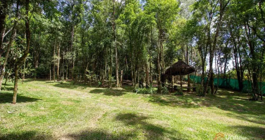 Chácara à venda, 20180 m² por R$ 690.000,00 - Popular Nova - Campo Largo/PR