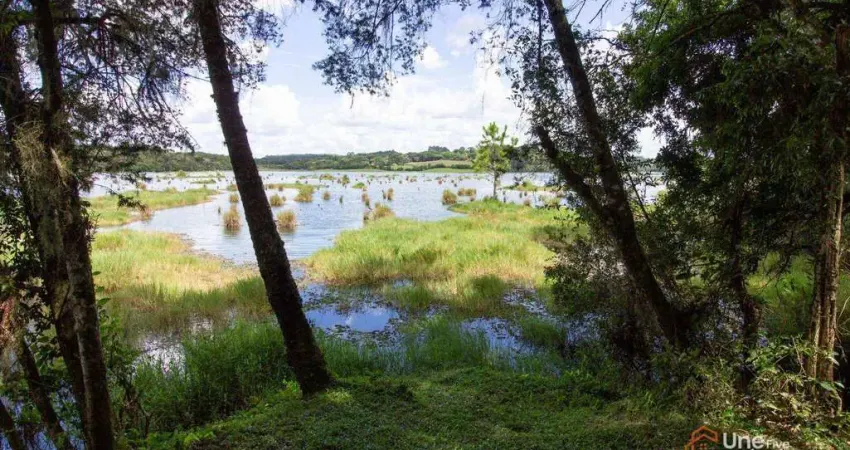 Chácara à venda, 20 m² por r$ 690.000,00 - popular nova - campo largo/pr