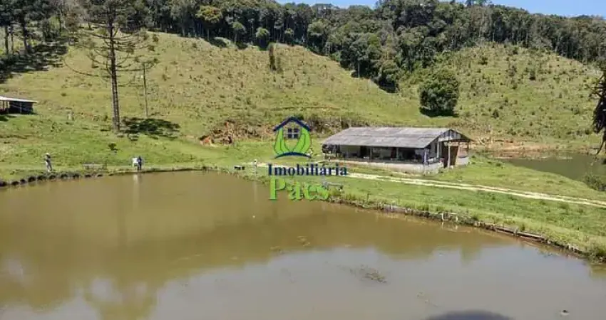Chácara / sítio à venda no Matulão, Tijucas do Sul 
