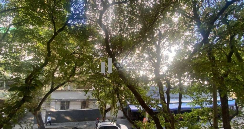 Apartamento à venda praça Afonso Pena, sala 3 quartos dependência completas