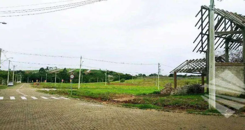 Terreno à venda, 289 m² por R$ 100.000,00 - Ecovilla Taubaté - Taubaté/SP