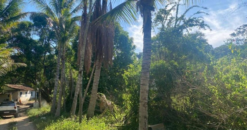 Sítio para locação ou venda em Três Vendas - Araruama/RJ