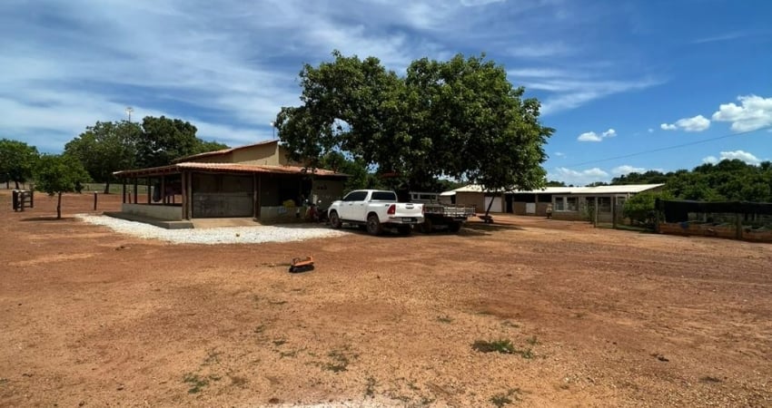 Fazenda à venda; 244,4 hectares; há 2km da cidade de Sandolândia/TO.