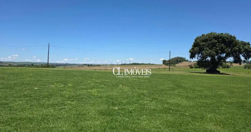 Terreno à venda em Gleba Ribeirão Cafezal, Londrina 