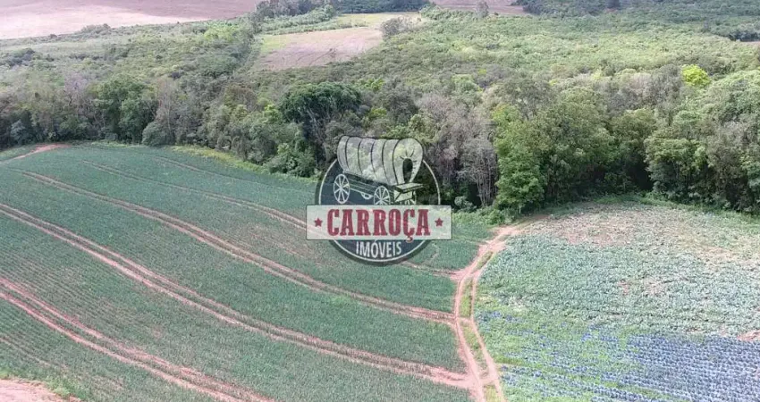 Chácara / sítio com 1 quarto à venda na Wadislau Furman, Guajuvira, Araucária