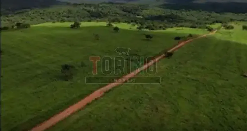 Fazenda - São João da Ponte - Estrada Rural - Região Norte