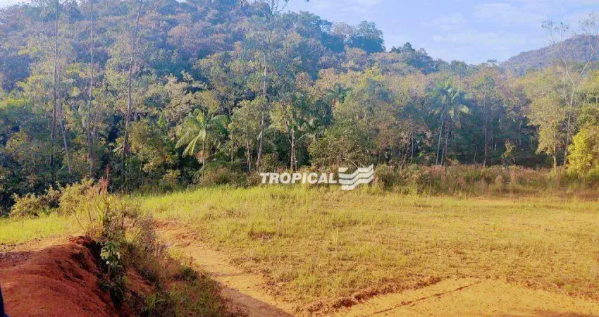 Terreno à venda, 1100 m² por R$ 230.000,00 - Gaspar Alto - Gaspar/SC