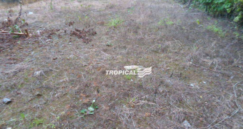 Terreno à venda, 1182 m² por R$ 950.000,00 - Tribess - Blumenau/SC