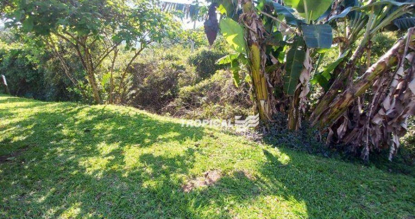 Terreno à venda, 420 m² por R$ 249.000,00 - Fortaleza - Blumenau/SC