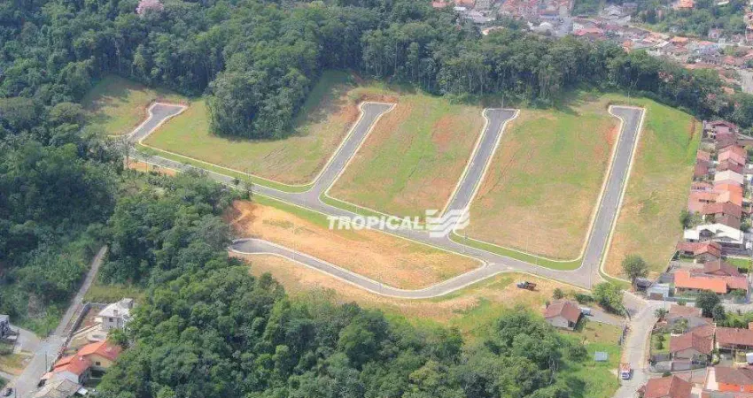 Terreno à venda, 448 m² por r$ 250.000,00 - água verde - blumenau/sc