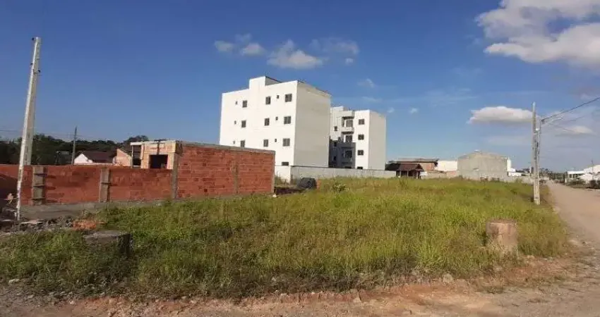 Terreno comercial para alugar na ARAQUARI, 228, Itinga, Araquari