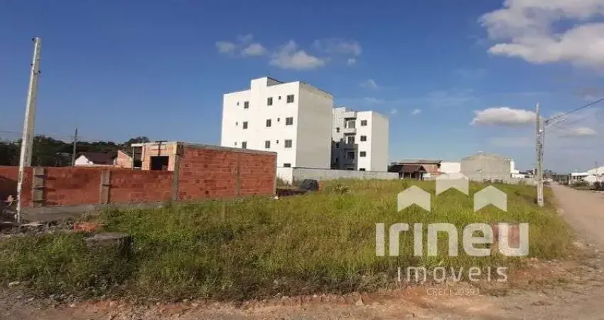 Terreno comercial para alugar na JOAO JOSE HOSTIN, 228, Itinga, Araquari