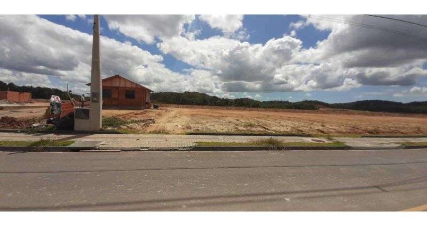 Terreno comercial para alugar na ARAQUARI, 1261, Itinga, Araquari