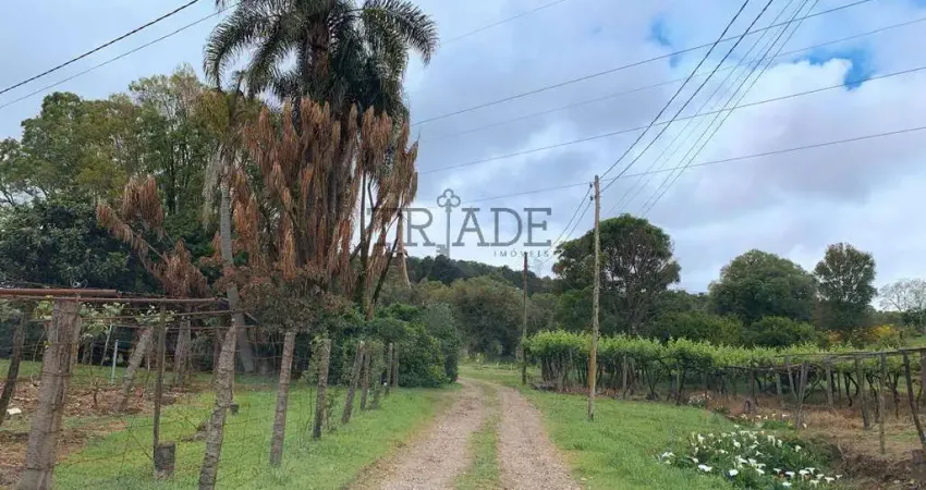 Chácara / sítio à venda no Monte Bérico, Caxias do Sul