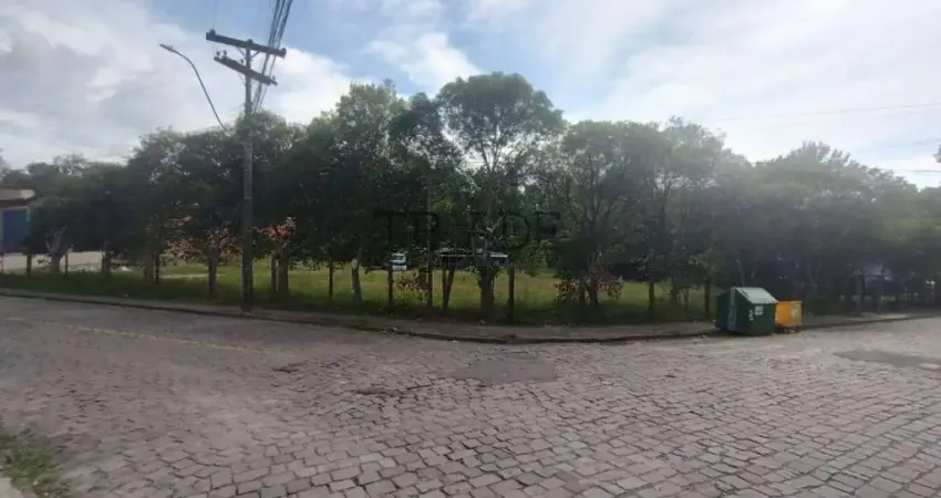 Terreno à venda no Cristo Redentor, Caxias do Sul 