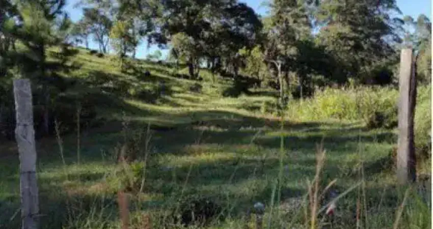 Terreno à venda, 10500 m² por R$ 985.000,00 - Alto da Serra (Mailasqui) - São Roque/SP