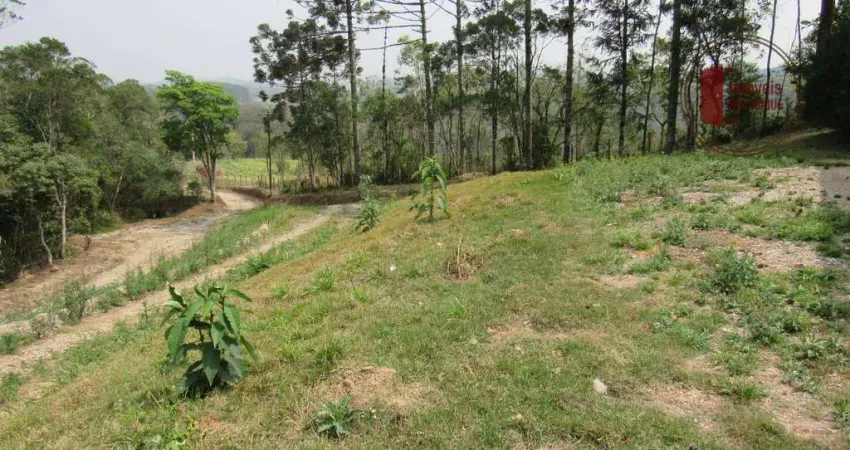 Chácara / sítio à venda na Zona Rural, Piedade 