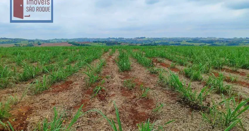 Fazenda à venda na Vila Mazzei, Itapetininga 