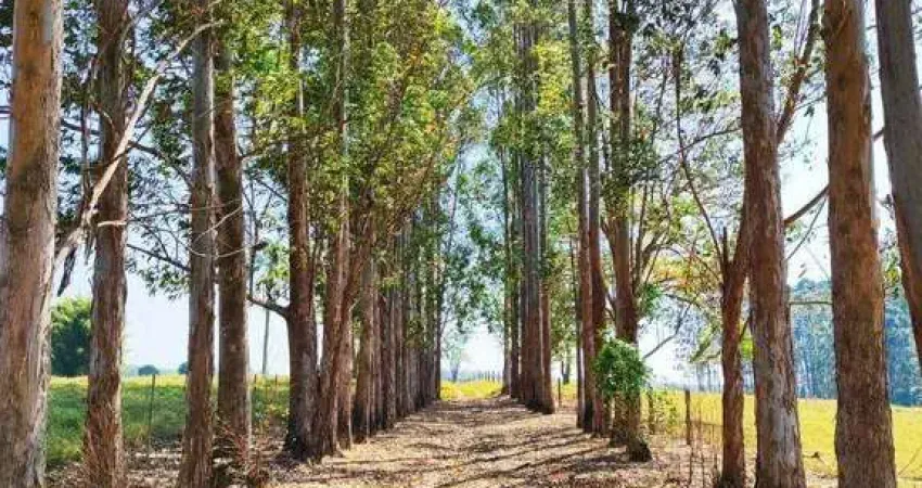 Chácara / sítio com 4 quartos à venda na Vila Mazzei, Itapetininga 