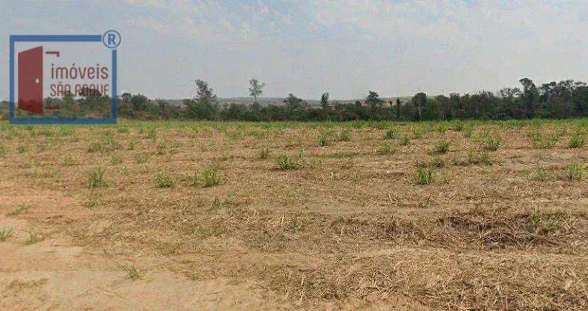 Fazenda à venda em Colina da Castelo, Porto Feliz