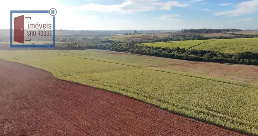 Chácara / sítio à venda na Avenida Engenheiro Carlos Reinaldo Mendes, Alto da Boa Vista, Sorocaba