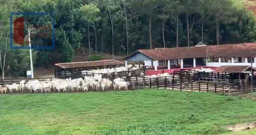 Ótima a venda fazenda com 330 alq. na região de cachoeira paulista