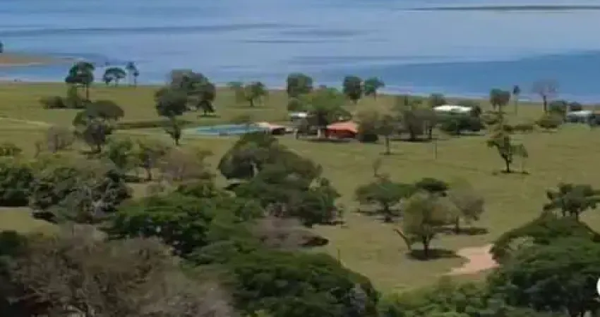 Fazenda com 3 salas à venda no Holambra II, Paranapanema