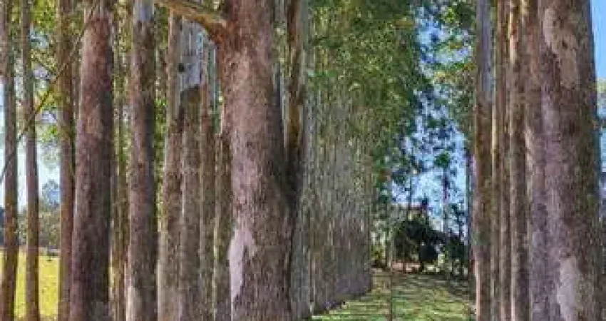 Fazenda com 2 salas à venda na Rua Amando de Barros, Centro, Botucatu