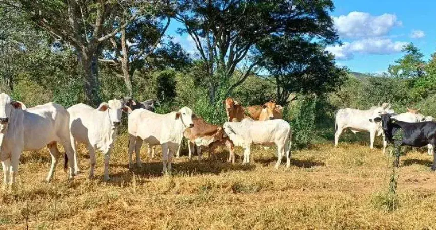 Sítio Espetacular em Sobradinho/DF 32 Hectares !!! 1.200.000 !!!