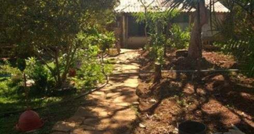 Chácara / sítio com 4 quartos à venda no Samambaia Norte (Samambaia), Brasília 