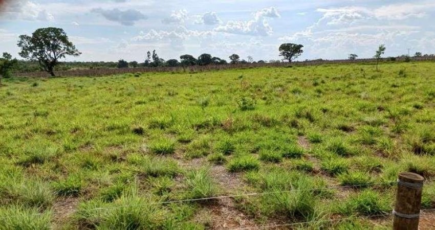 Vendo Chácara Escriturada DF 130 2.6 Hectares !!! 350.000 !!!