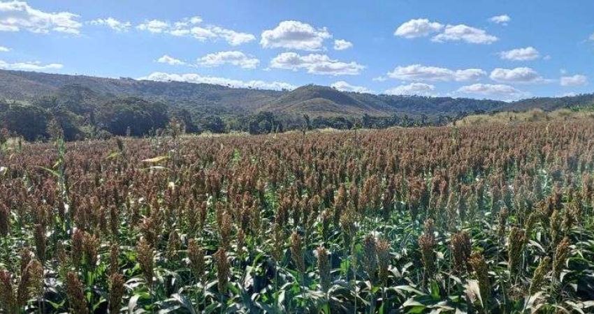 Fazenda no Núcleo Rural Rio Preto com 113 Hectares !!! 3.500.000 !!!