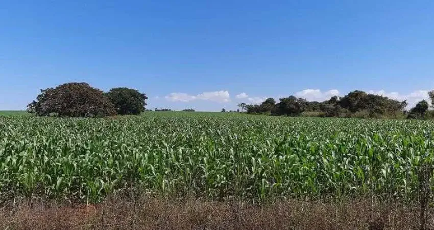Chácara / sítio à venda na Área Rural, Área Rural do Paranoá, Brasília