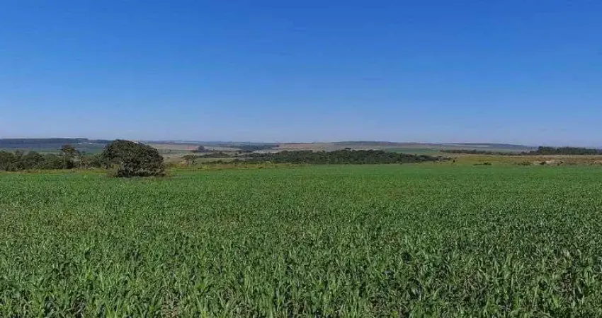 Chácara / sítio com 3 quartos à venda na Área Rural, Área Rural do Paranoá, Brasília