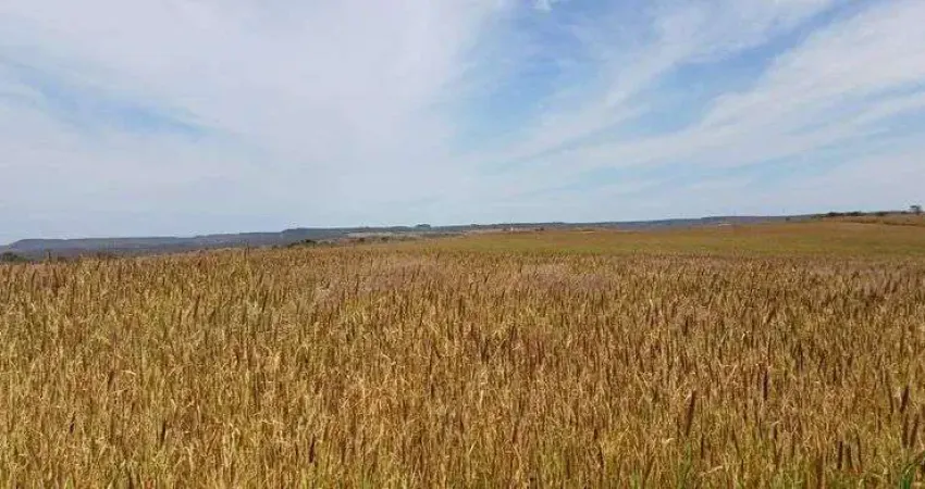 Fazenda Espetacular na Quebrada dos Neres 298 Hectares !!! 8.500.000 !!!