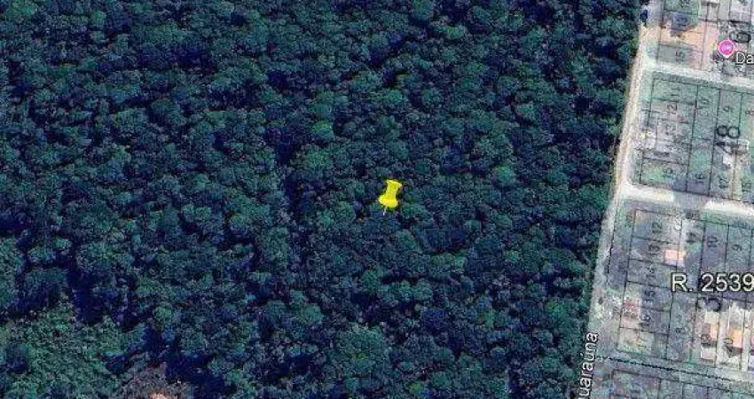 Terreno à venda, 150 m² por R$ 67.000 - Brandalize - Itapoá/SC