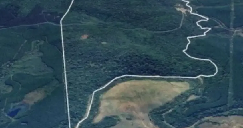 Área Rural com 200 ha - Herciliópolis - Água Doce - SC