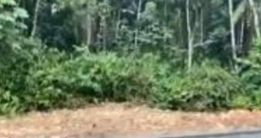 Área com 5.533 m² - Padre Martinho Stein - Timbó - SC