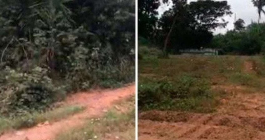 Terreno em condomínio fechado à venda na Rua Amadeus Paulo, Lote 07, Santa Maria da Codipe, Teresina