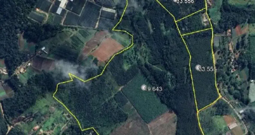 Imóvel Rural 68 ha (Granja Kunitomo) - Capixinga - Mogi das Cruzes - SP