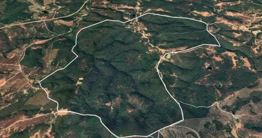 Fazenda à venda no Centro, Fruta de Leite