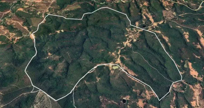 Fazenda à venda no Centro, Fruta de Leite