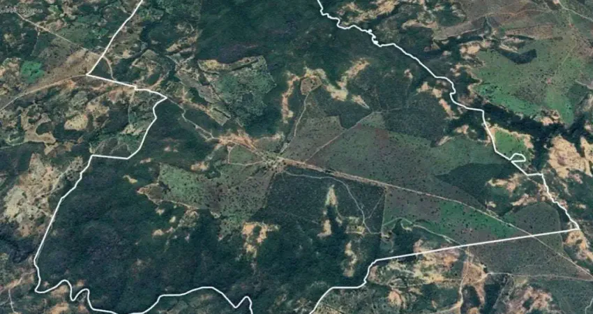 Imóvel rural 1.137 ha - fazenda santa rita - são francisco - mg