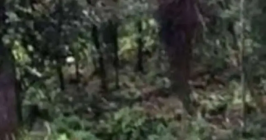 Terreno em condomínio fechado à venda na Rua Safira, Lts. 24, 2, Jardim das Pérolas, Campos do Jordão