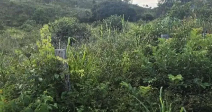 Fazenda 132 ha - alto alegre do pindaré-ma - fazenda santo antônio - zona rural