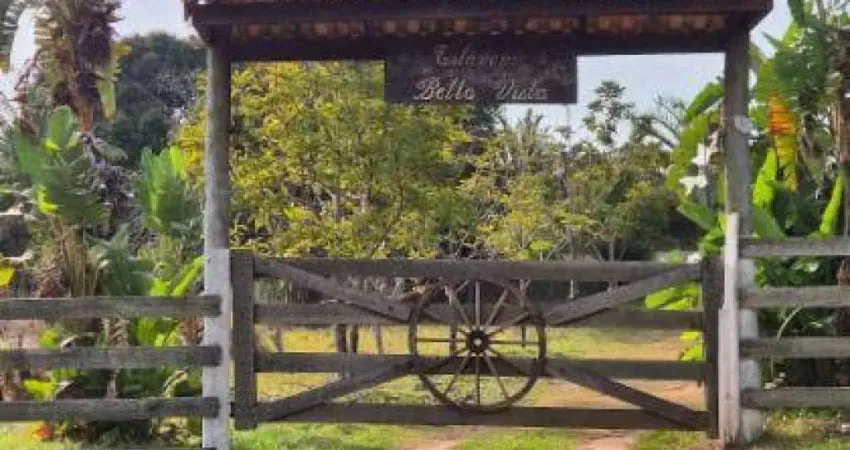 Casa com 2 quartos à venda na Rua Washigton Luis, 251, Zona Rural, Álvares Machado