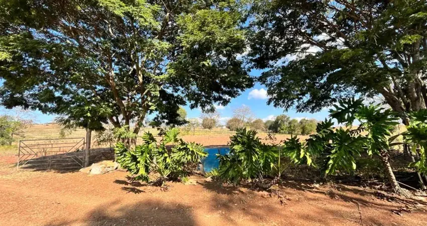Invista no Campo! Terreno Perfeito para Cultivo e Produção Rural